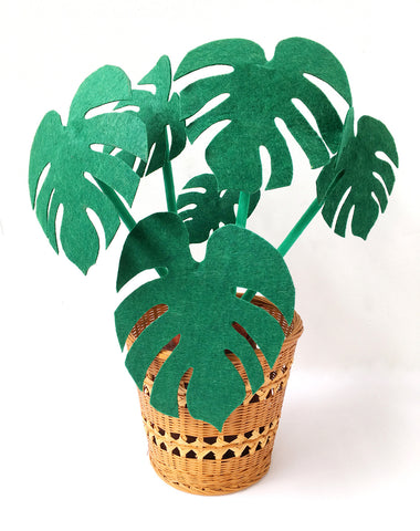 Monstera