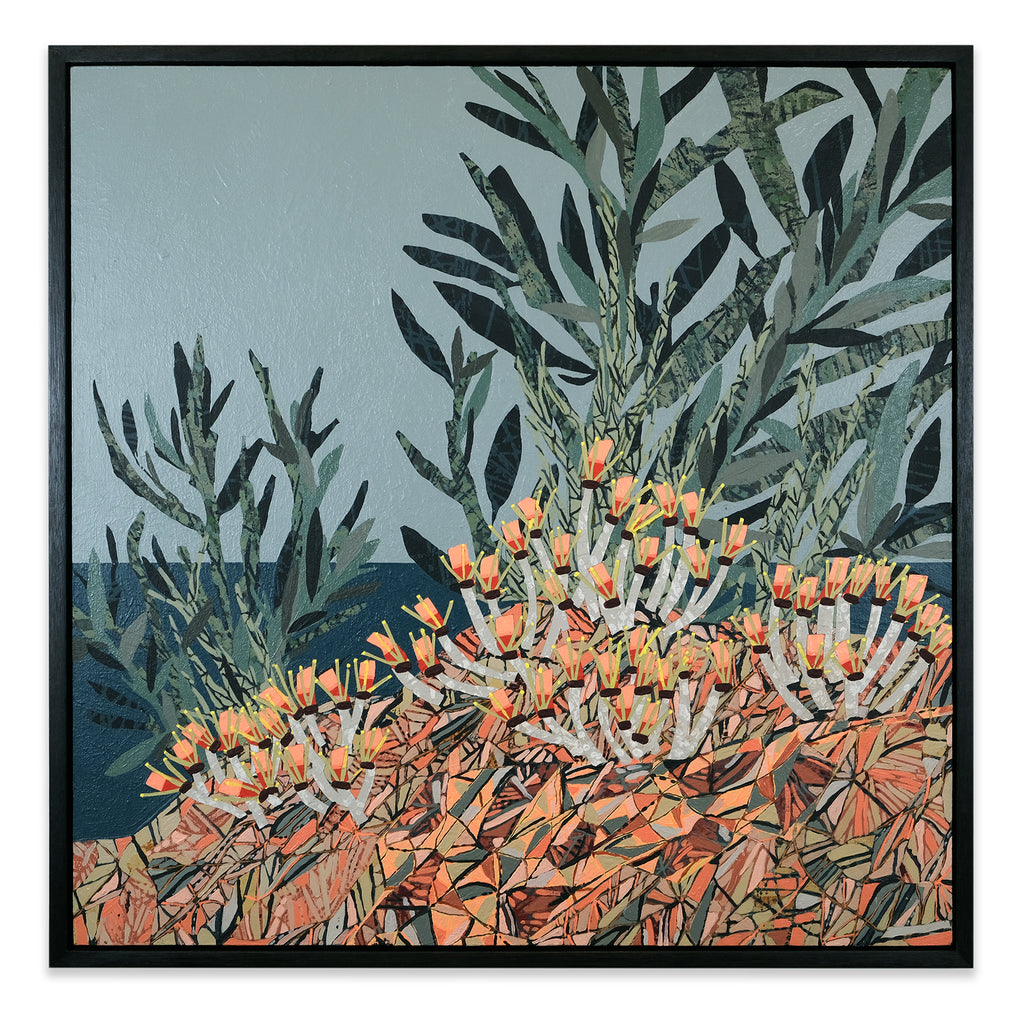 Wild Olive, Flower Rock