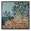 Wild Olive, Flower Rock