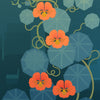 Nasturtium