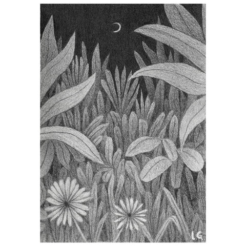 Night Garden