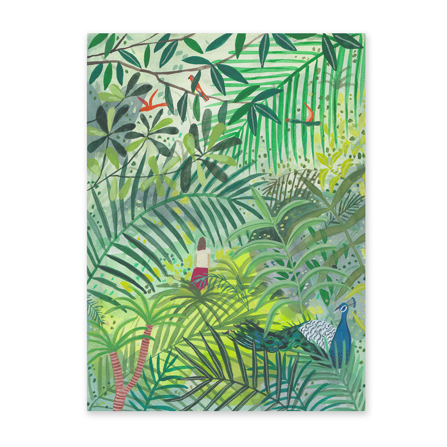 Rainforest Birds