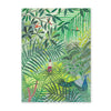Rainforest Birds