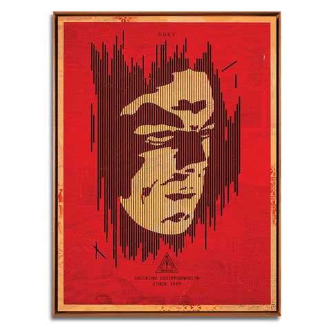 Decoding Disinformation (Red)