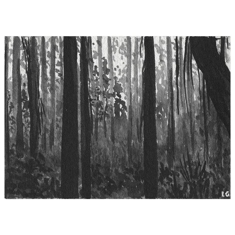 Stringybark Evening