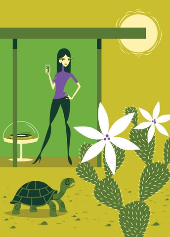 The Lost Tortoise