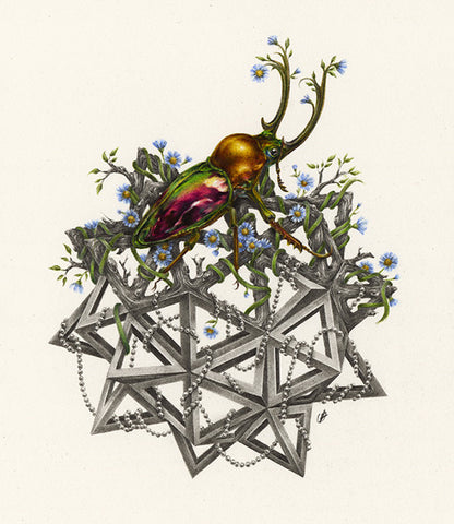 Thorn