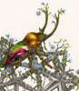 Thorn