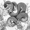 The Amphisbaena Serpent