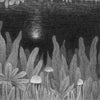 Under The Moon