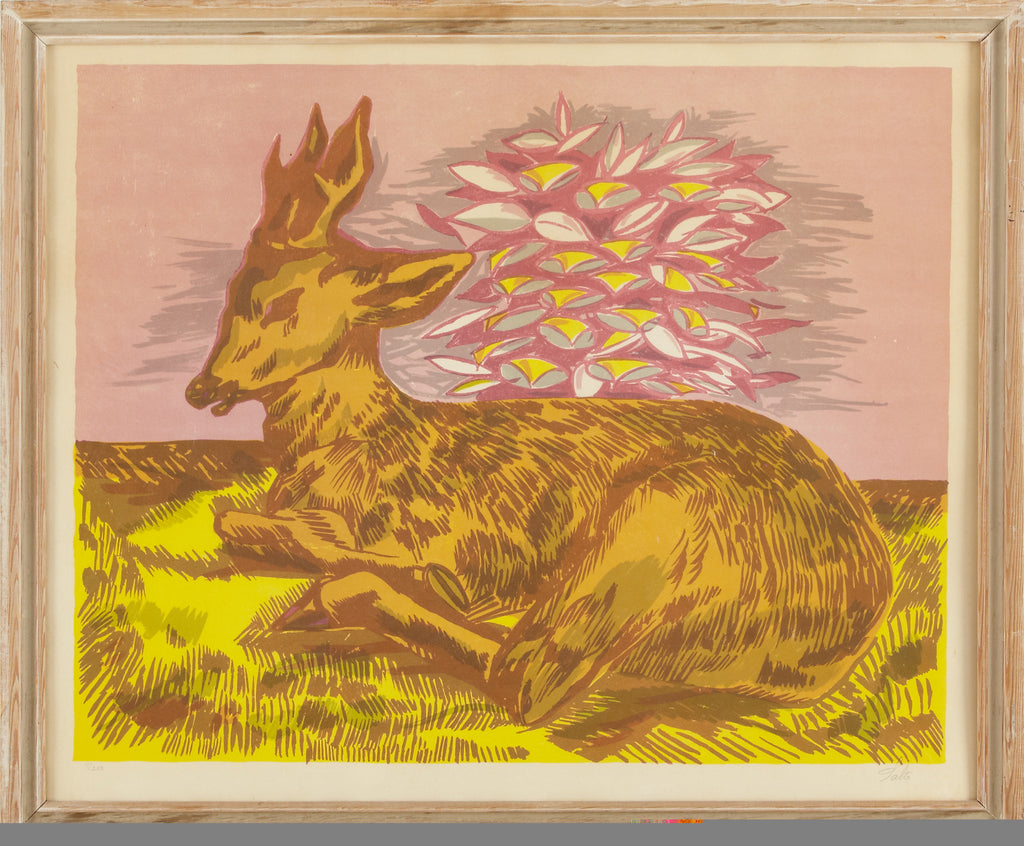 Laying Fallow Deer