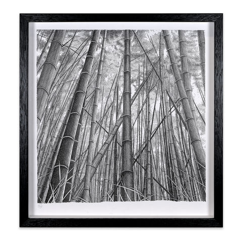 Bamboo Forest