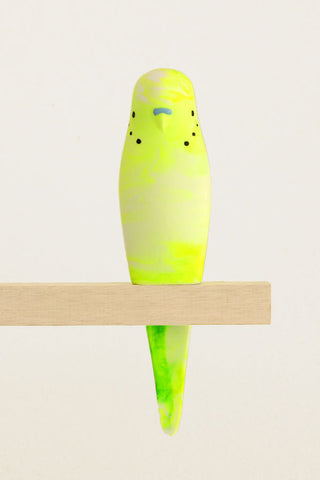 Resin Budgerigar - 'Bondi'