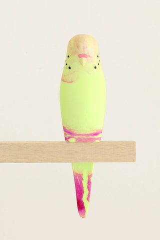 Resin Budgerigar - 'Candy'