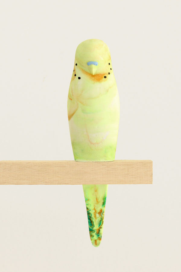 Resin Budgerigar - 'Prism'