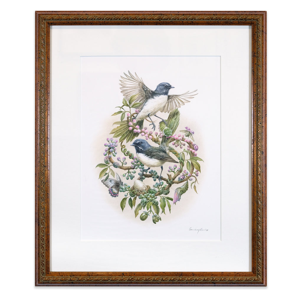 Night song of the Willie Wagtail