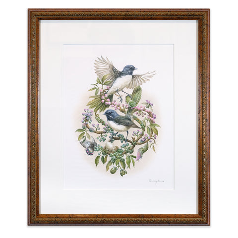 Night song of the Willie Wagtail