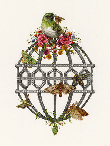 Cradle