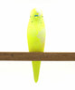 Resin Budgie