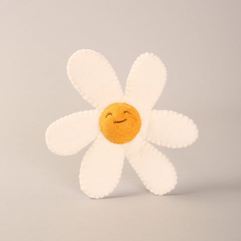 Daisies - The Mixed Bunch