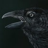 Forest Omen