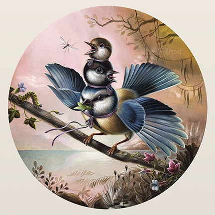 Fun Bird Three