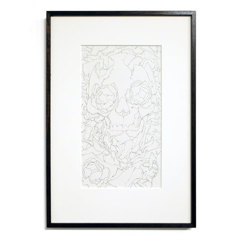 OVM Bone Drawing