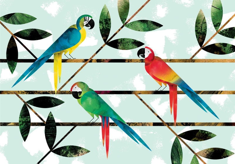 Macaws