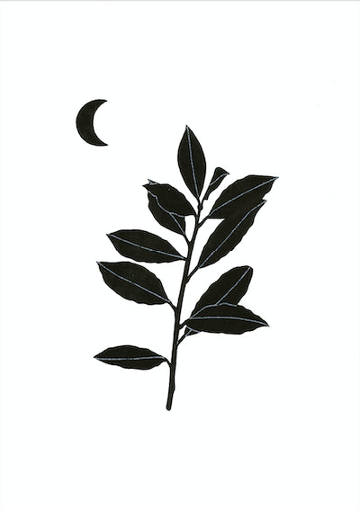 Laurel