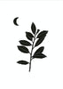 Laurel