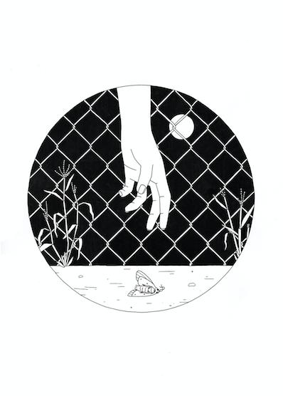 Carry Me Home