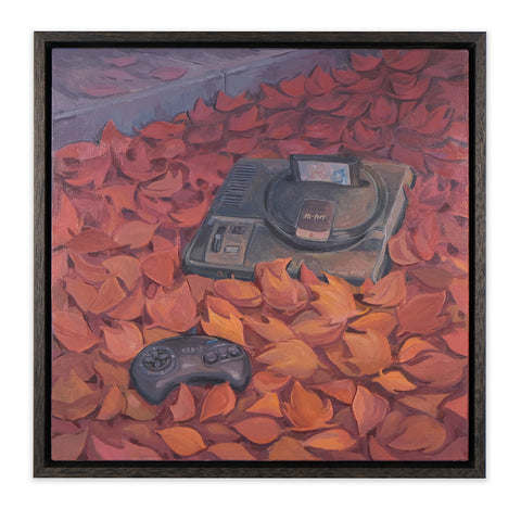Mega Drive Amongst Leaves