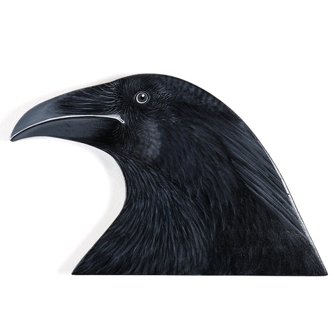 The Messenger II