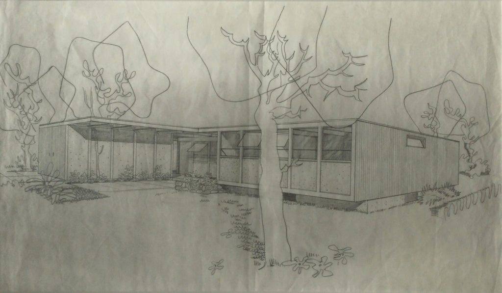 Mid Century Modern House