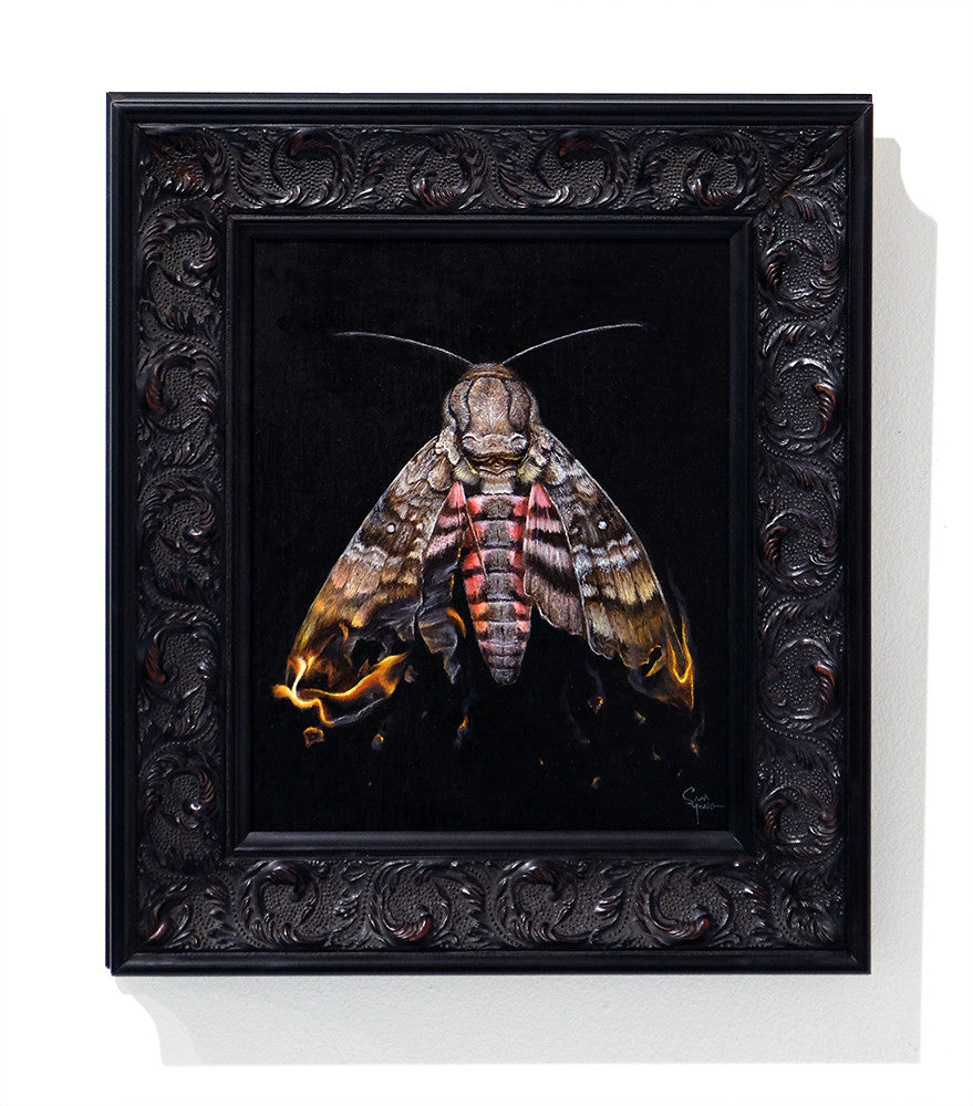 Icarus II