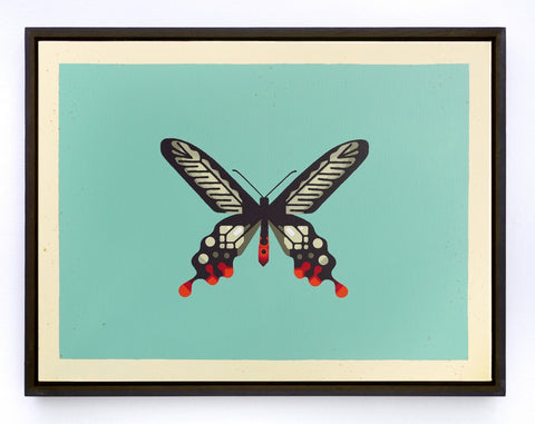 Andaman Swallowtail / Rhosaria rhodifer
