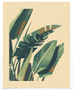 Palm Print 1