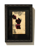 Petal (no.2)