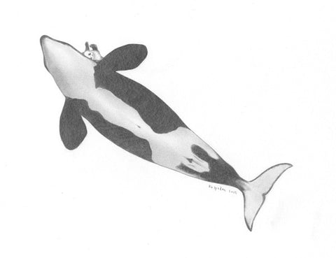 Belly Orca