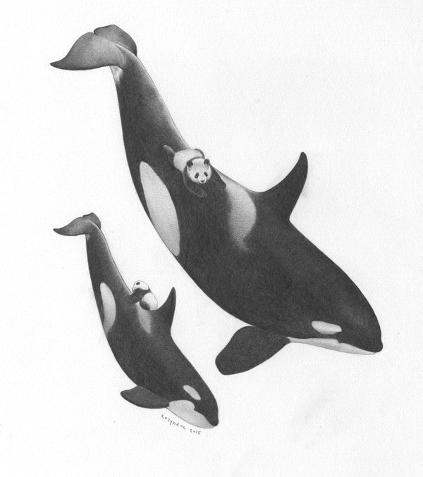 Two Orcas Two Little Pandas