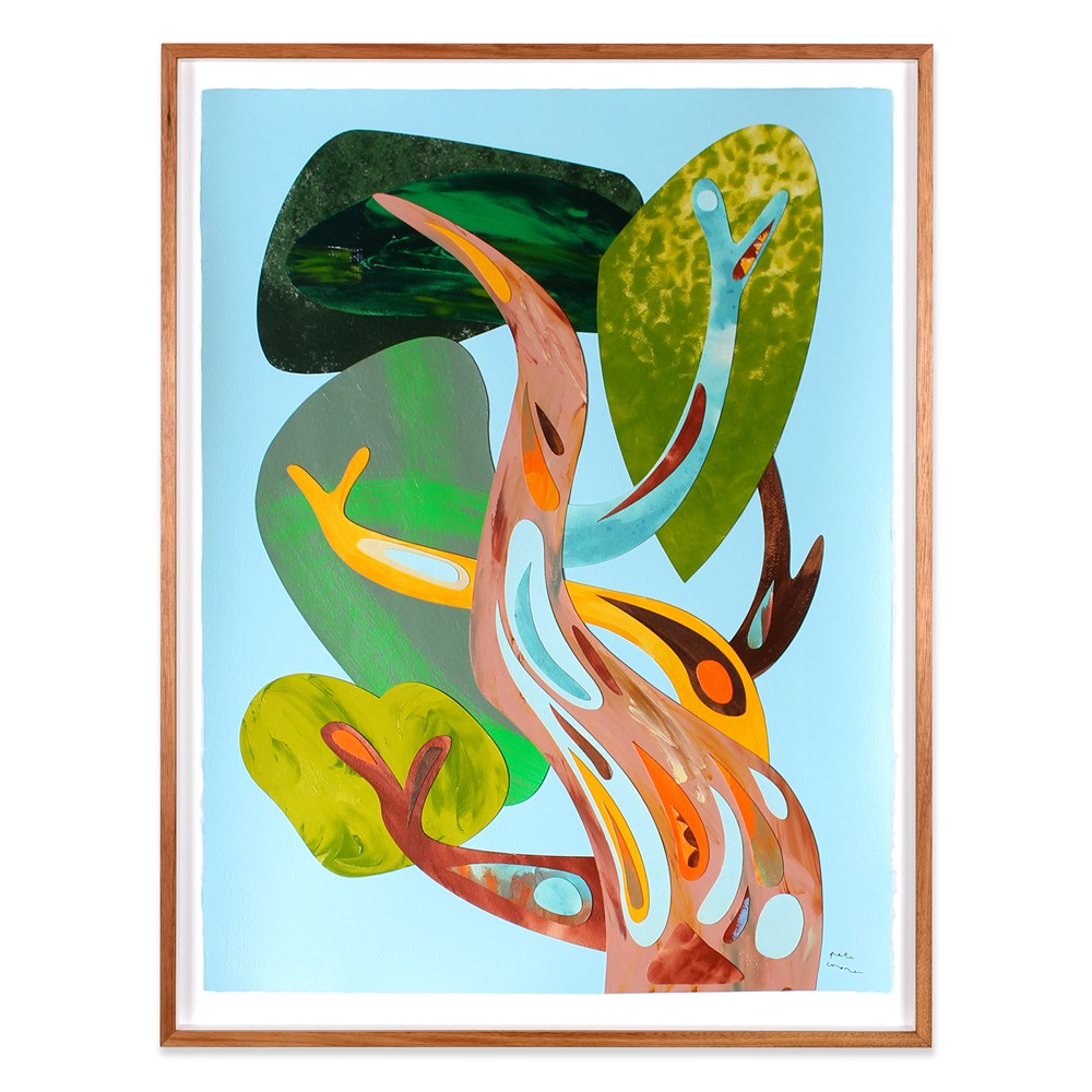 Snow Gum