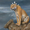 The Lookout