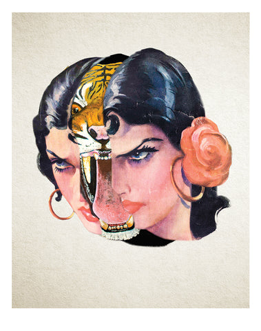 Tigre