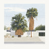 Two Palms