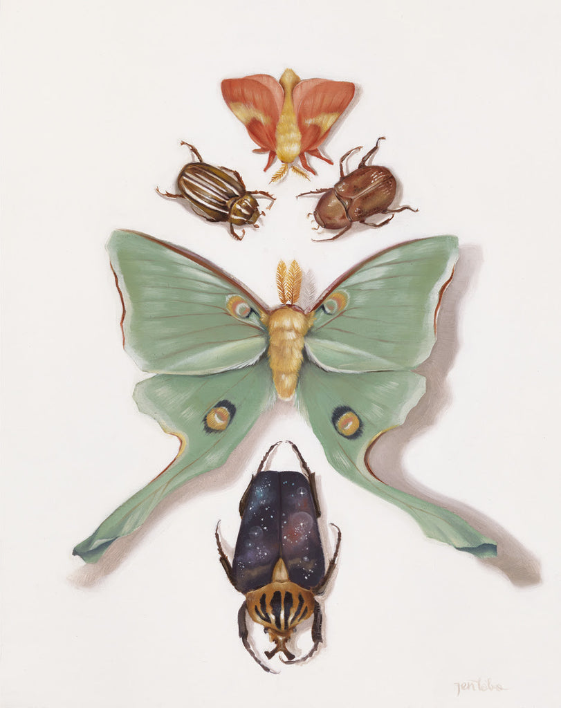 Insects