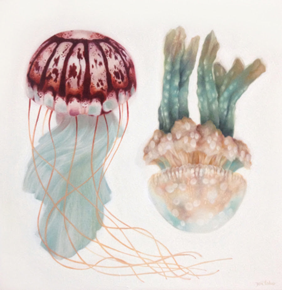Jellyfish