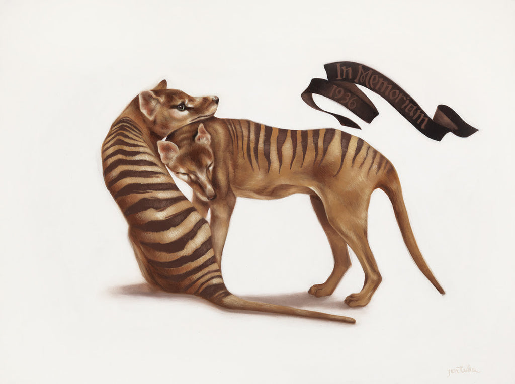 Thylacines
